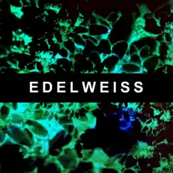 Edelweiss - Single by SLEEPY album reviews, ratings, credits