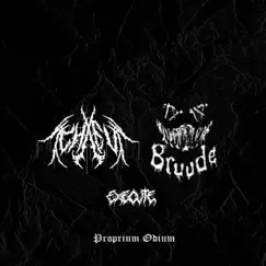 Proprium Odium Song Lyrics