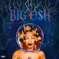 Big Fish by Siri Imani album reviews, ratings, credits