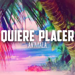 Quiere Placer - Single by An1mala album reviews, ratings, credits