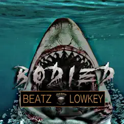Bodied - Single by Beatz Lowkey album reviews, ratings, credits