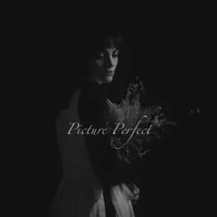 Picture Perfect - Single by Adrienne Aragon album reviews, ratings, credits