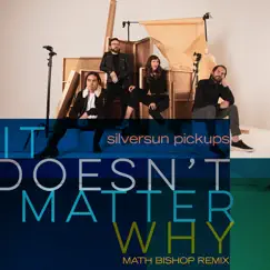 It Doesn't Matter Why (Math Bishop Remix) - Single by Silversun Pickups album reviews, ratings, credits