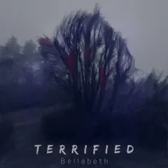 Terrified - Single by Bellabeth album reviews, ratings, credits