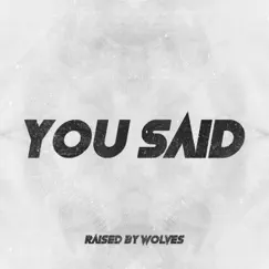 You Said - Single by Raised by Wolves album reviews, ratings, credits