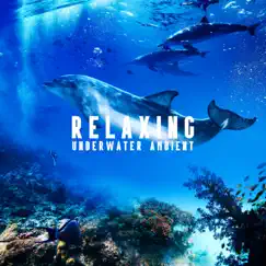 Relaxing Underwater Ambient: Soothing Music for Deep Sleep, Therapy, Meditation, Stress Relief by Sea Tranquility Academy, Sea Dreams Music Universe & Deep Sleep Music Academy album reviews, ratings, credits