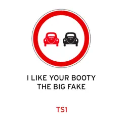 I Like Your Booty / The Big Fake - Single by Traffic Signs album reviews, ratings, credits