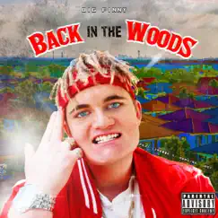 Back in the Woods (feat. Tyre$$e X, Jdot & Genuine) - Single by Big Finny album reviews, ratings, credits