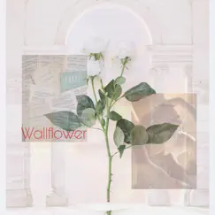 Wallflower (Demo) Song Lyrics