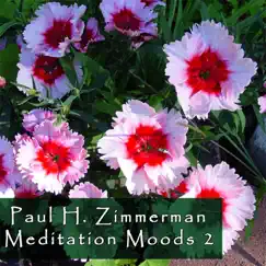 Meditation Moods 2 - EP by Paul H. Zimmerman album reviews, ratings, credits