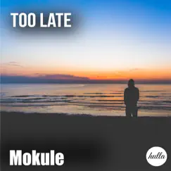 Too Late - Single by Mokule album reviews, ratings, credits