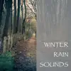 Winter Rain Sounds album lyrics, reviews, download