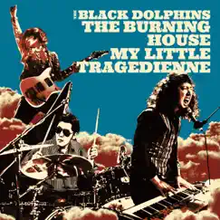 The Burning House - Single by THE BLACK DOLPHINS album reviews, ratings, credits