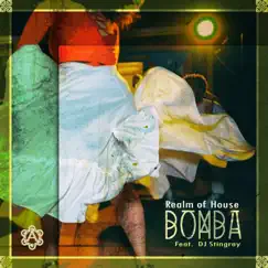 Bomba (Arawakan Drum Mix) [feat. DJ Stingray] Song Lyrics