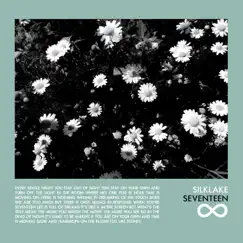Seventeen - Single by Silklake album reviews, ratings, credits