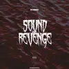 Sound of Revenge - Single album lyrics, reviews, download