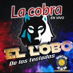 La Cobra (En Vivo) Song Lyrics