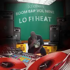 Boom Bap Vol 9-Lo Fi Heat by DJ Iceman album reviews, ratings, credits