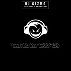 Thats How It Is (Freestyle Mix) - Single by DJ Gizmo album reviews, ratings, credits
