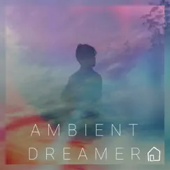 Ambient Dreamer by Various Artists album reviews, ratings, credits