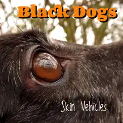 Black Dogs (Radio Edit) - Single by Skin Vehicles album reviews, ratings, credits