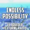 Endless Possibility (From "Sonic Unleashed") [feat. Raayo] - Single album lyrics, reviews, download