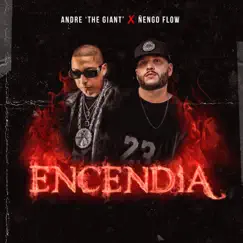 Encendia - Single by Andre TG & Ñengo Flow album reviews, ratings, credits