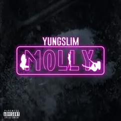 Molly - Single by Yung Slim album reviews, ratings, credits