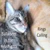 Rings Calling album lyrics, reviews, download