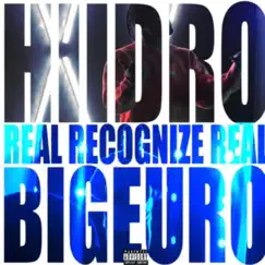 Real Recognize Real (feat. Big Euro) - Single by Hiidro album reviews, ratings, credits