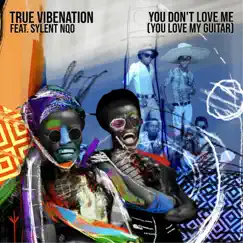 You Don't Love Me (You Love My Guitar) [feat. Sylent Nqo] - Single by True Vibenation album reviews, ratings, credits