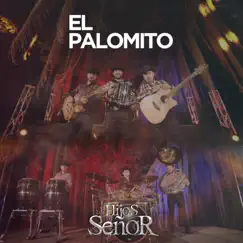 El palomito Song Lyrics