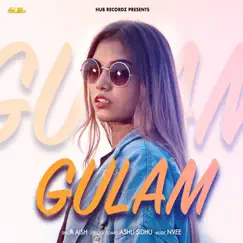 Gulam - Single by AiSH album reviews, ratings, credits