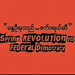 Spring Revolution to Federal Democracy - Single by Mooler album reviews, ratings, credits