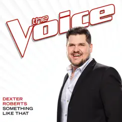 Something Like That (The Voice Performance) - Single by Dexter Roberts album reviews, ratings, credits