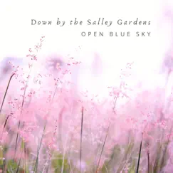 Down by the Salley Gardens Song Lyrics