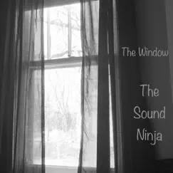 The Window (feat. Bill Draper) - Single by The Sound Ninja album reviews, ratings, credits