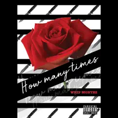 How Many Times (feat. Cheree) - Single by Whip Montez album reviews, ratings, credits