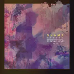 Shame (Remix) - Single by Phoenix Keyz, YASSiN & Sean Terrio & SAAKB album reviews, ratings, credits