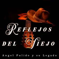 Reflejos Del Viejo Song Lyrics