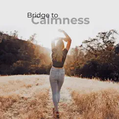 Bridge to Calmness by Anandra & Serena Beatty album reviews, ratings, credits