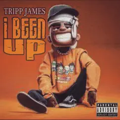 I Been Up - Single by Tripp James album reviews, ratings, credits