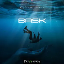 Not Too Late - Single by Bask album reviews, ratings, credits