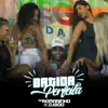 Batida Perfeita (feat. DJ 900) - Single album lyrics, reviews, download