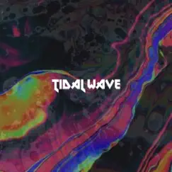 Tidal Wave - Single by Jared Evan album reviews, ratings, credits