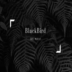 Blackbird - Single by Ox5 Music album reviews, ratings, credits