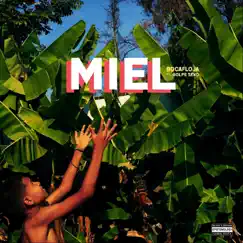 Miel (feat. Golpe Seko) - Single by Bocafloja album reviews, ratings, credits
