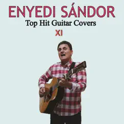 Top Hit Guitar Covers XI by Sandor Enyedi album reviews, ratings, credits