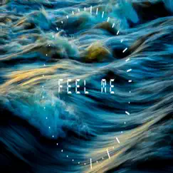 Feel Me (Instrumental) - Single by GeniusVybz album reviews, ratings, credits