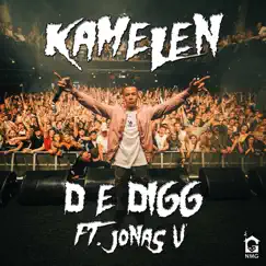 D E Digg (feat. jonas v) Song Lyrics